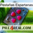 Pestañas Espartanas 13